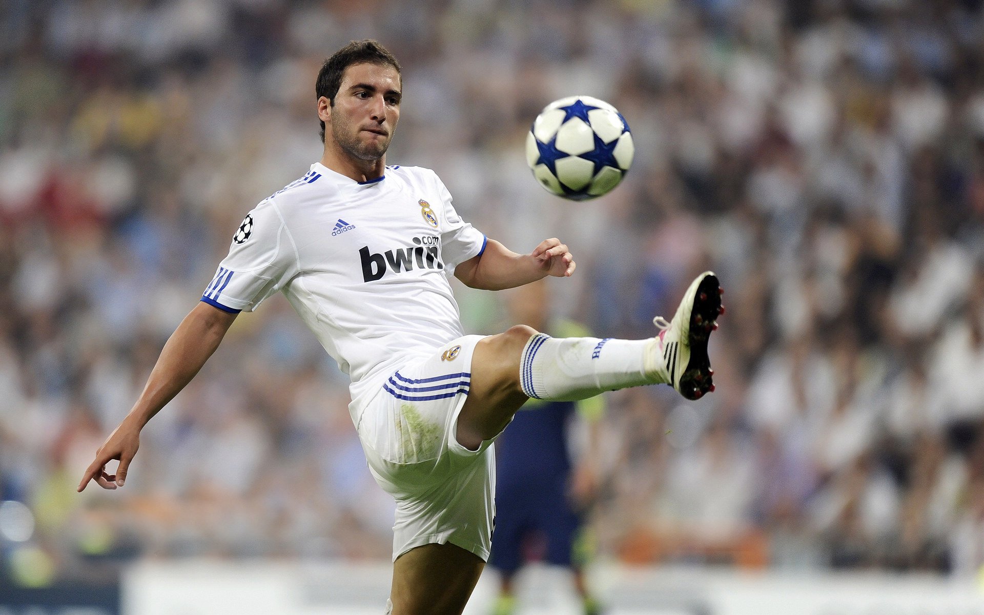 内部赞誉齐尔克泽，但未获上场机会，齐尔克泽 帕尔马